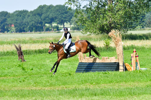 Goldene Schärpe Ponys in Löningen  4+5.6.22 | 04062022 - Gelände 1 Abt _0648 