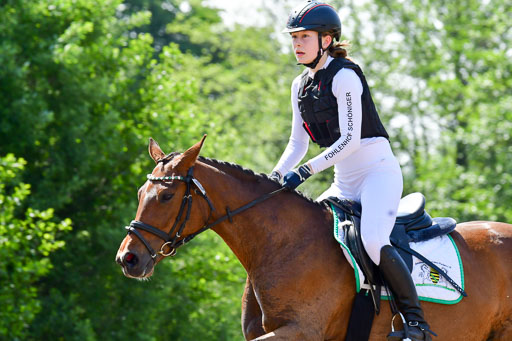 Goldene Schärpe Ponys in Löningen  4+5.6.22 | 04062022 - Gelände 1 Abt _0653 