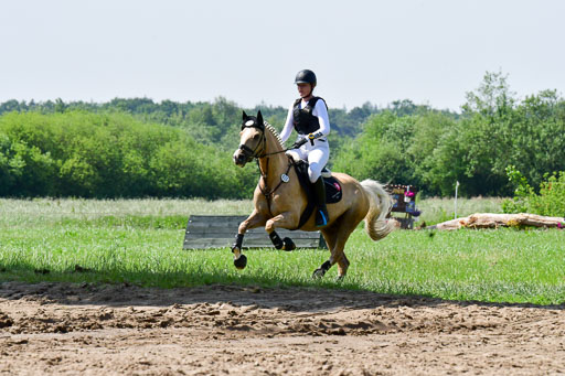 Goldene Schärpe Ponys in Löningen  4+5.6.22 | 04062022 - Gelände 1 Abt _0666 