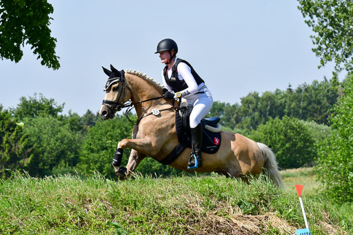 Goldene Schärpe Ponys in Löningen  4+5.6.22 | 04062022 - Gelände 1 Abt _0673 