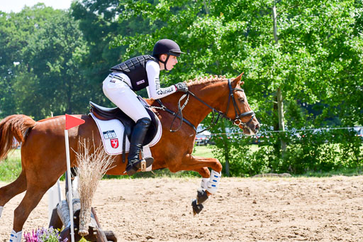 Goldene Schärpe Ponys in Löningen  4+5.6.22 | 04062022 - Gelände 1 Abt _0757 