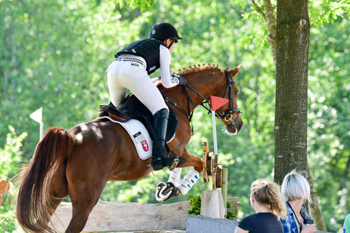 Goldene Schärpe Ponys in Löningen  4+5.6.22 | 04062022 - Gelände 1 Abt _0758 