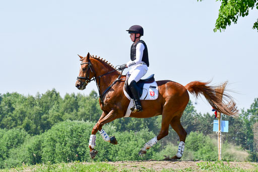 Goldene Schärpe Ponys in Löningen  4+5.6.22 | 04062022 - Gelände 1 Abt _0769 