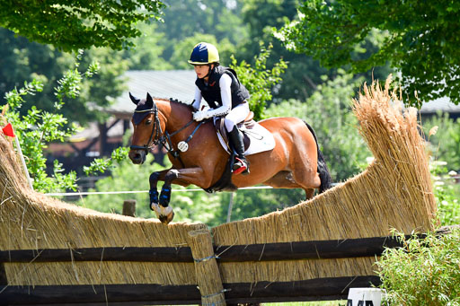 Goldene Schärpe Ponys in Löningen  4+5.6.22 | 04062022 - Gelände 1 Abt _0788 