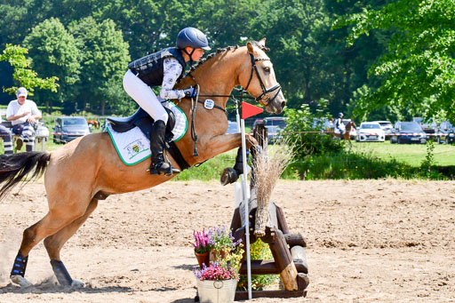 Goldene Schärpe Ponys in Löningen  4+5.6.22 | 04062022 - Gelände 1 Abt _0829 