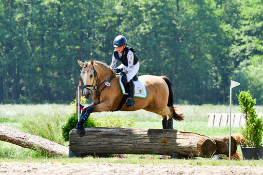 Goldene Schärpe Ponys in Löningen  4+5.6.22 | 04062022 - Gelände 1 Abt _0836 
