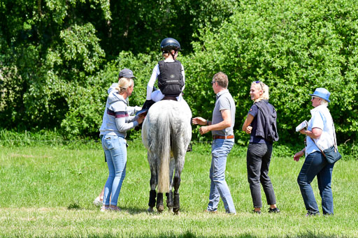 Goldene Schärpe Ponys in Löningen  4+5.6.22 | 04062022 - Gelände 1 Abt _0894 
