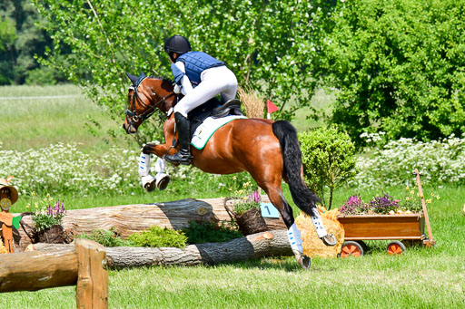 Goldene Schärpe Ponys in Löningen  4+5.6.22 | 04062022 - Gelände 1 Abt _0931 