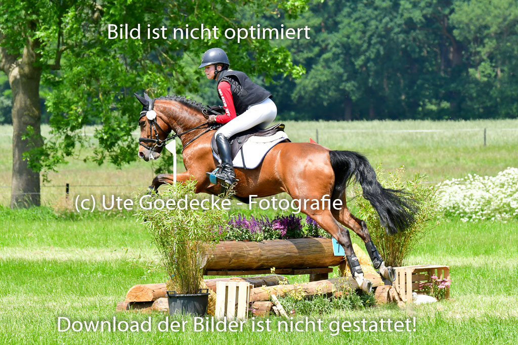 Goldene Schärpe Ponys in Löningen  4+5.6.22 | 04062022 - Gelände  2 Abt _001 