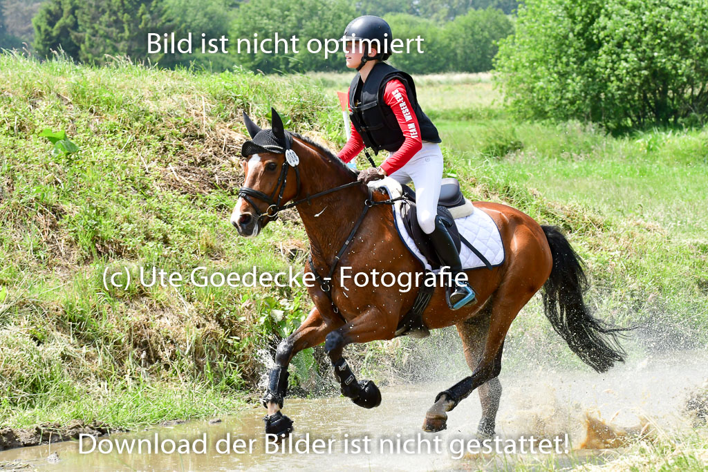 Goldene Schärpe Ponys in Löningen  4+5.6.22 | 04062022 - Gelände  2 Abt _002 