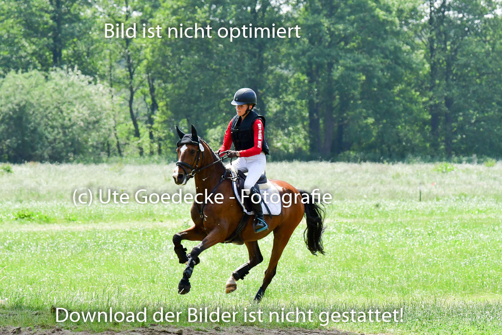 Goldene Schärpe Ponys in Löningen  4+5.6.22 | 04062022 - Gelände  2 Abt _003 