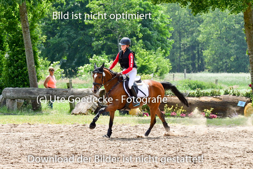 Goldene Schärpe Ponys in Löningen  4+5.6.22 | 04062022 - Gelände  2 Abt _005 