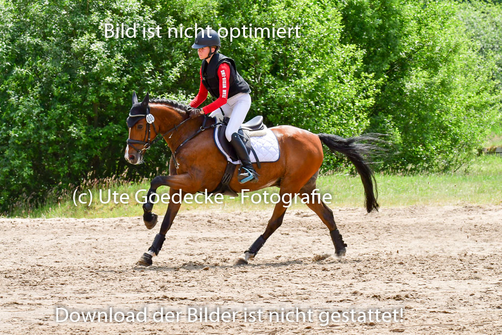 Goldene Schärpe Ponys in Löningen  4+5.6.22 | 04062022 - Gelände  2 Abt _006 