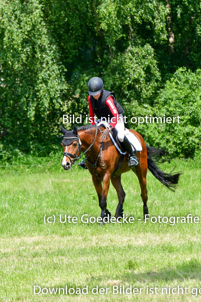 Goldene Schärpe Ponys in Löningen  4+5.6.22 | 04062022 - Gelände  2 Abt _009 
