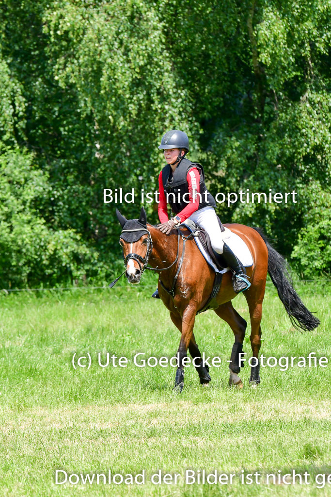 Goldene Schärpe Ponys in Löningen  4+5.6.22 | 04062022 - Gelände  2 Abt _010 