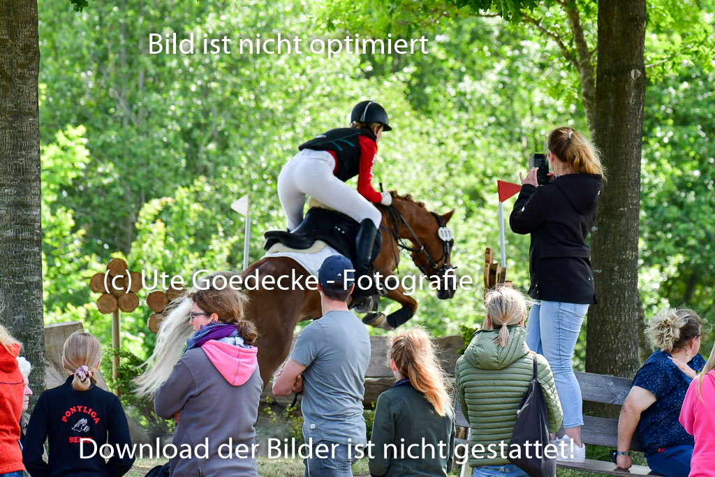 Goldene Schärpe Ponys in Löningen  4+5.6.22 | 04062022 - Gelände  2 Abt _015 
