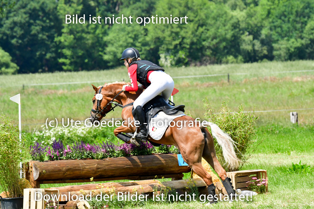 Goldene Schärpe Ponys in Löningen  4+5.6.22 | 04062022 - Gelände  2 Abt _016 