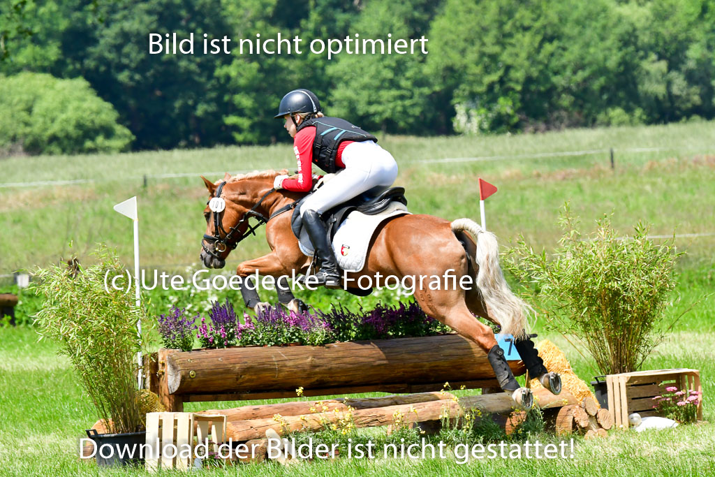 Goldene Schärpe Ponys in Löningen  4+5.6.22 | 04062022 - Gelände  2 Abt _017 