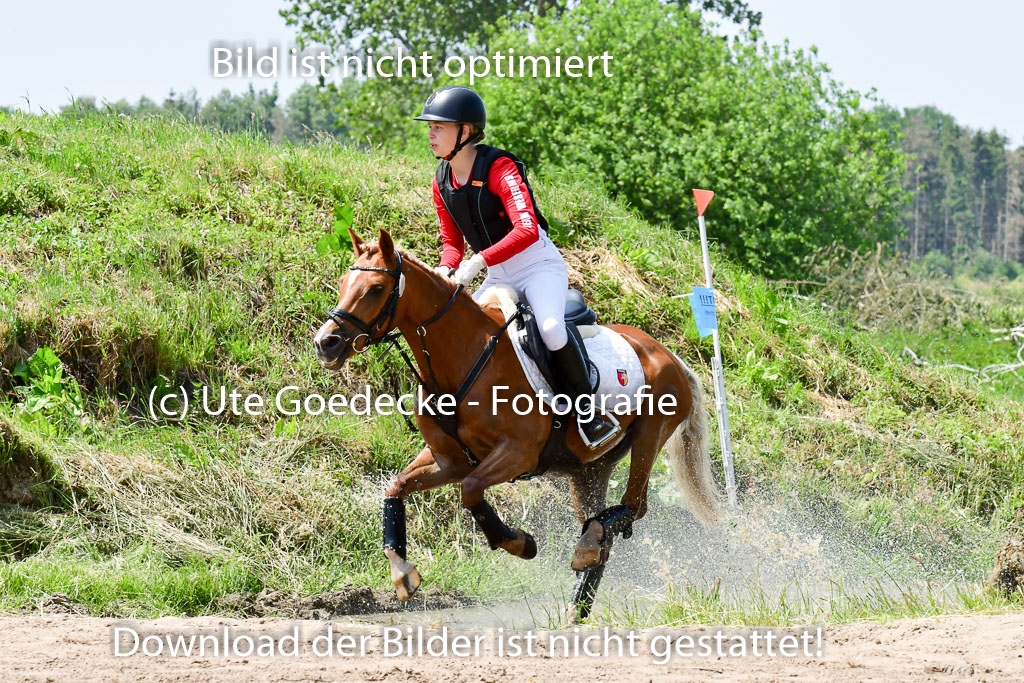 Goldene Schärpe Ponys in Löningen  4+5.6.22 | 04062022 - Gelände  2 Abt _019 