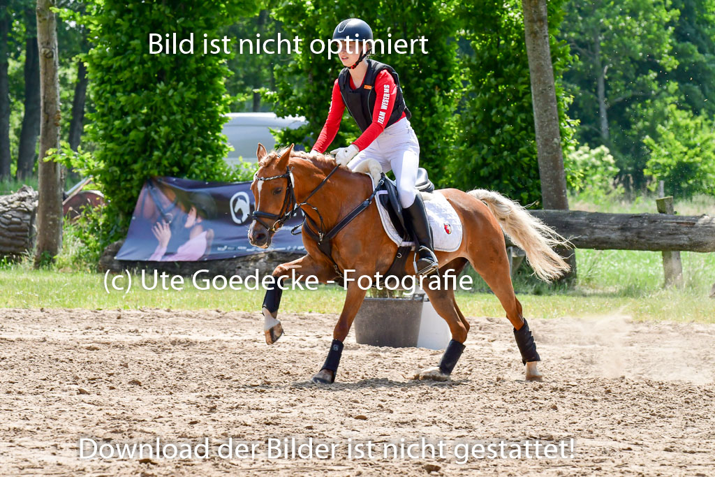 Goldene Schärpe Ponys in Löningen  4+5.6.22 | 04062022 - Gelände  2 Abt _023 