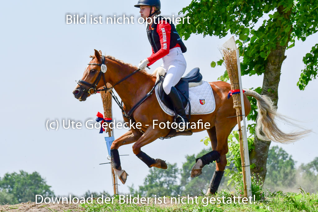 Goldene Schärpe Ponys in Löningen  4+5.6.22 | 04062022 - Gelände  2 Abt _025 