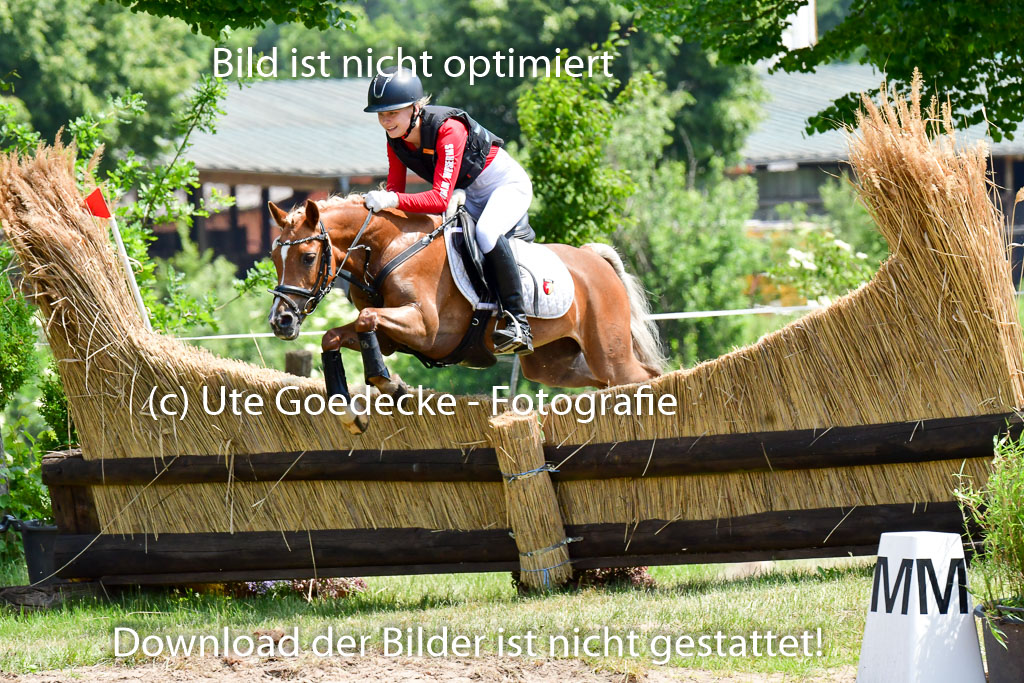 Goldene Schärpe Ponys in Löningen  4+5.6.22 | 04062022 - Gelände  2 Abt _027 