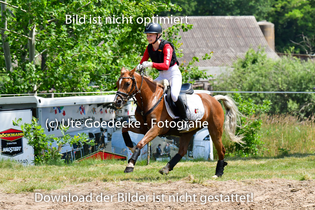 Goldene Schärpe Ponys in Löningen  4+5.6.22 | 04062022 - Gelände  2 Abt _028 