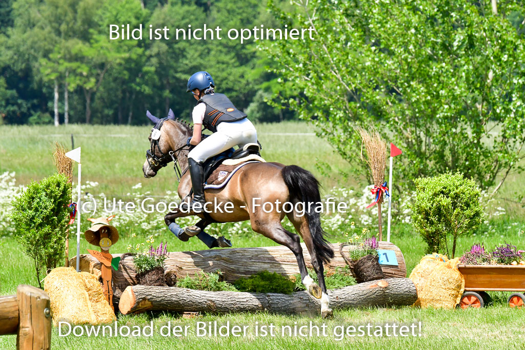 Goldene Schärpe Ponys in Löningen  4+5.6.22 | 04062022 - Gelände  2 Abt _031 