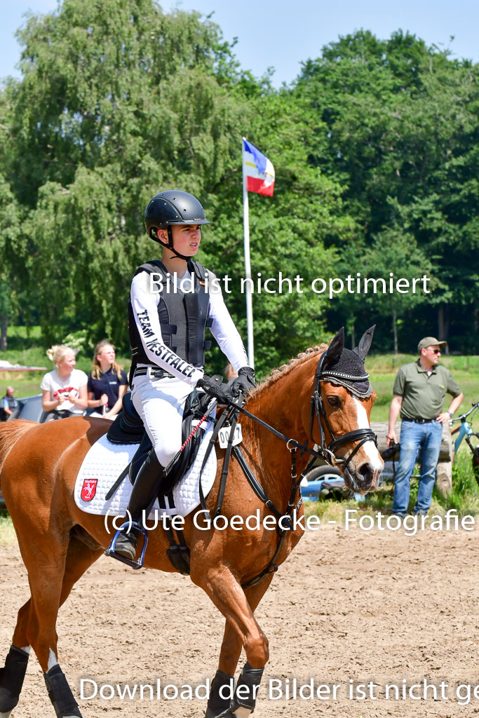 Goldene Schärpe Ponys in Löningen  4+5.6.22 | 04062022 - Gelände  2 Abt _035 