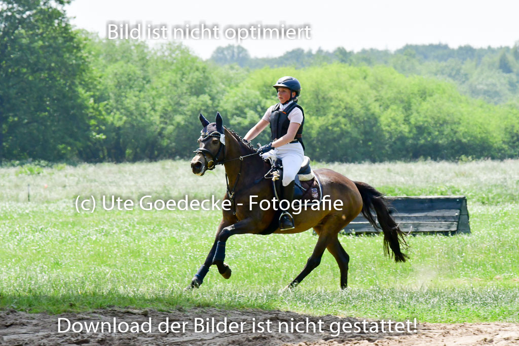 Goldene Schärpe Ponys in Löningen  4+5.6.22 | 04062022 - Gelände  2 Abt _038 
