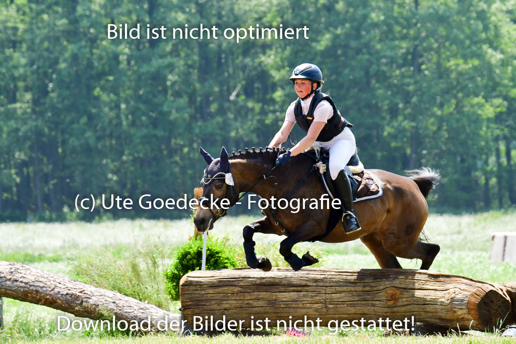 Goldene Schärpe Ponys in Löningen  4+5.6.22 | 04062022 - Gelände  2 Abt _039 