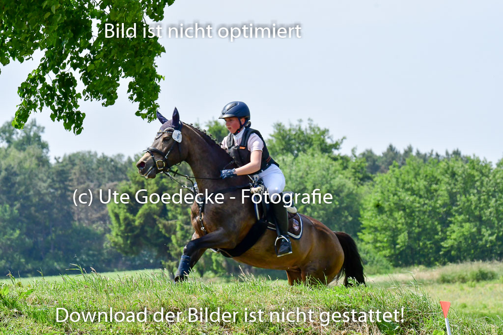 Goldene Schärpe Ponys in Löningen  4+5.6.22 | 04062022 - Gelände  2 Abt _041 