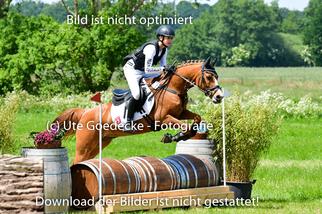 Goldene Schärpe Ponys in Löningen  4+5.6.22 | 04062022 - Gelände  2 Abt _048 