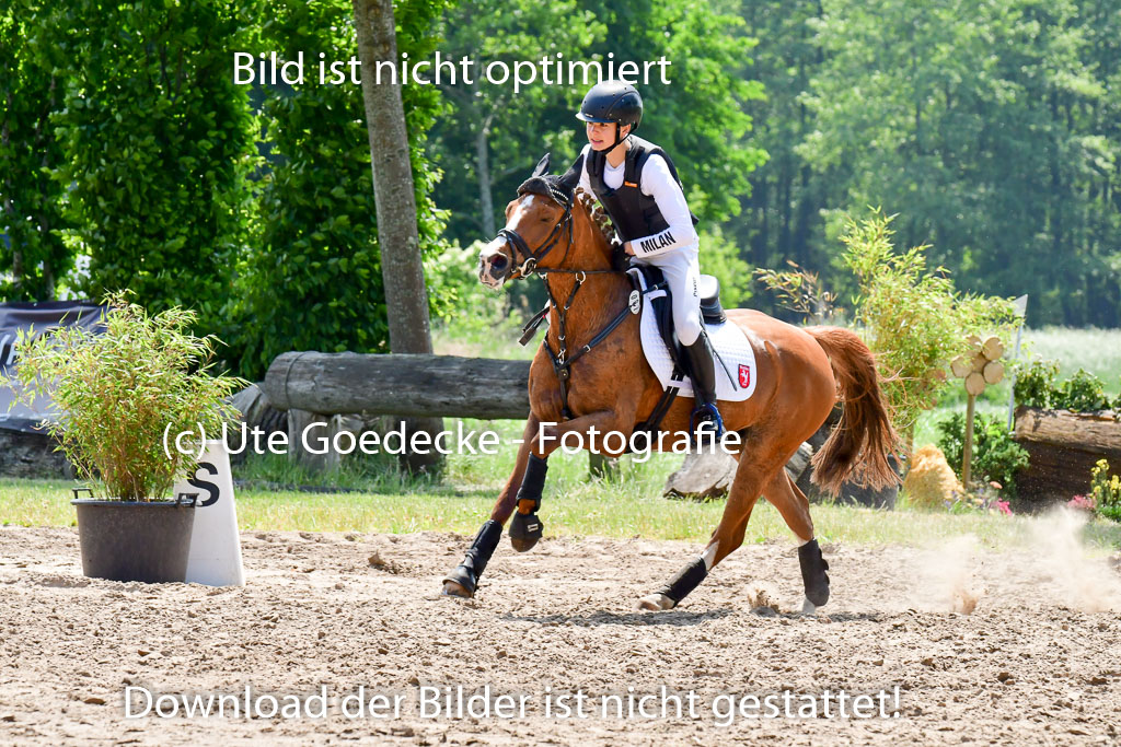 Goldene Schärpe Ponys in Löningen  4+5.6.22 | 04062022 - Gelände  2 Abt _060 