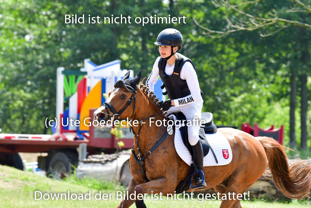 Goldene Schärpe Ponys in Löningen  4+5.6.22 | 04062022 - Gelände  2 Abt _061 