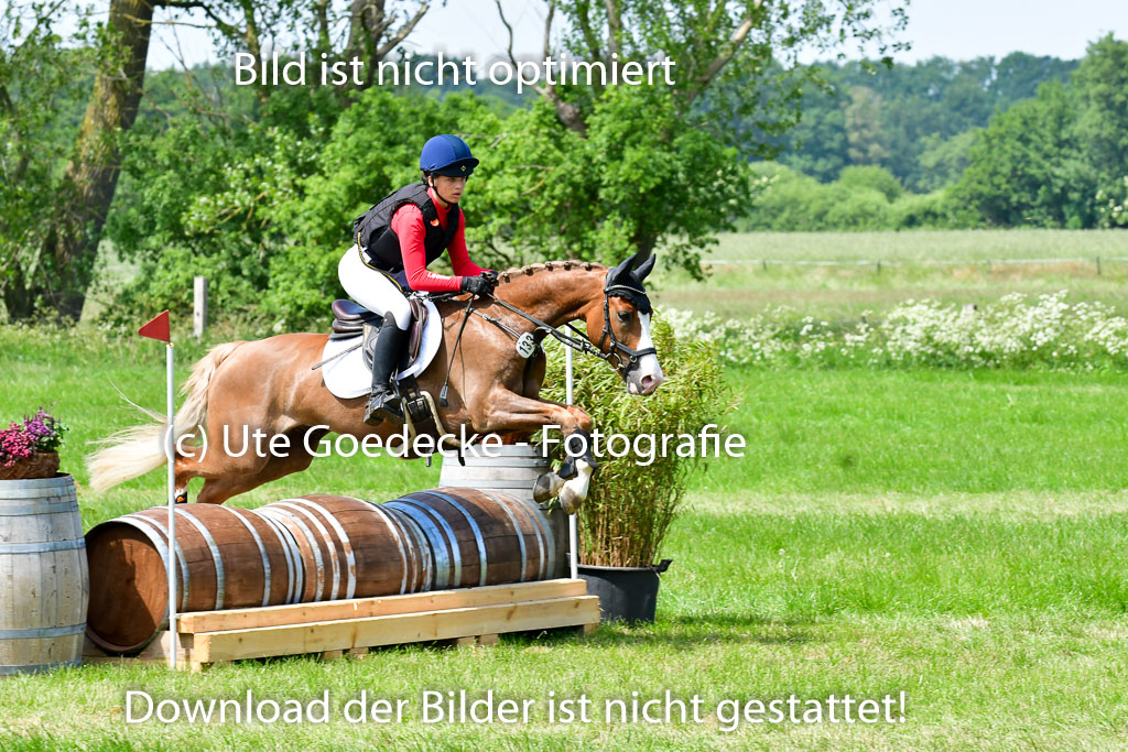 Goldene Schärpe Ponys in Löningen  4+5.6.22 | 04062022 - Gelände  2 Abt _072 