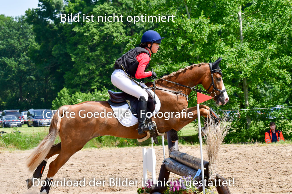 Goldene Schärpe Ponys in Löningen  4+5.6.22 | 04062022 - Gelände  2 Abt _074 