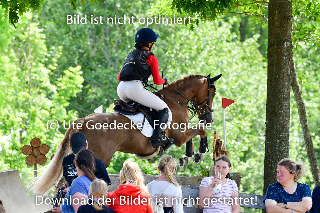 Goldene Schärpe Ponys in Löningen  4+5.6.22 | 04062022 - Gelände  2 Abt _075 