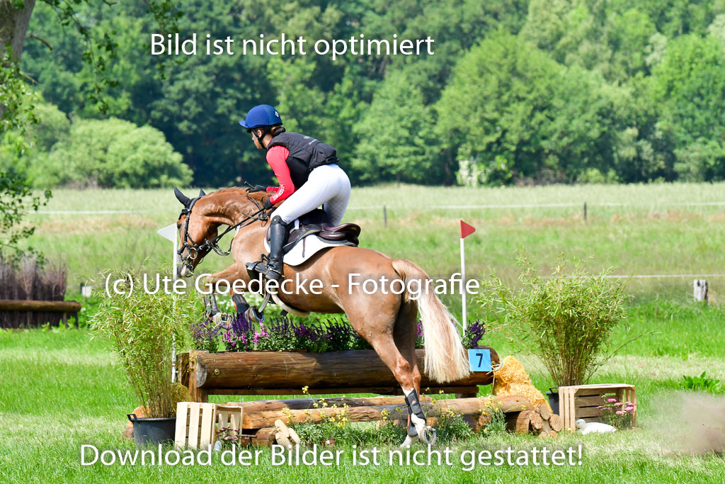 Goldene Schärpe Ponys in Löningen  4+5.6.22 | 04062022 - Gelände  2 Abt _076 