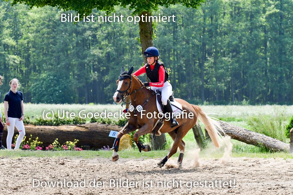 Goldene Schärpe Ponys in Löningen  4+5.6.22 | 04062022 - Gelände  2 Abt _081 