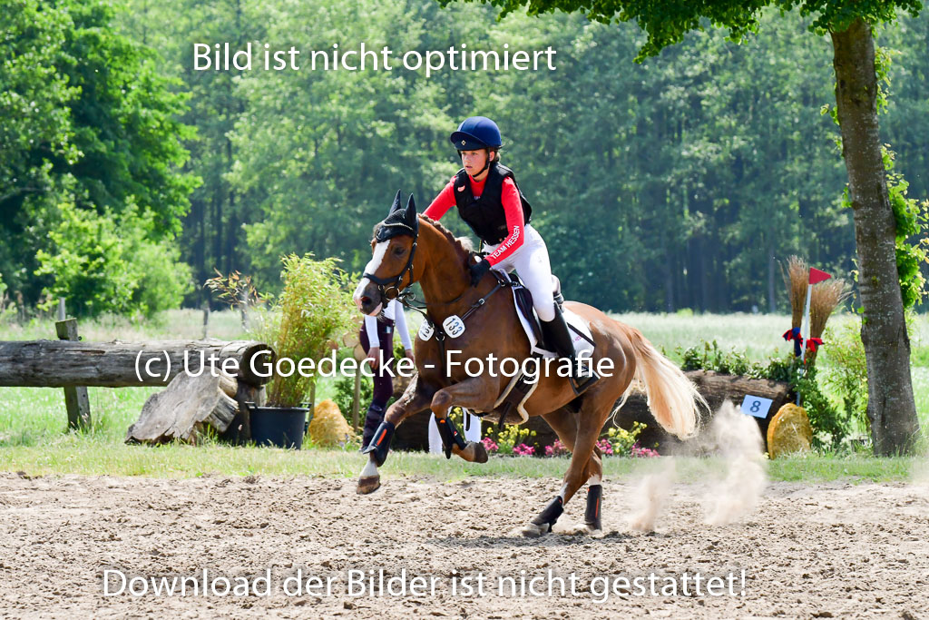 Goldene Schärpe Ponys in Löningen  4+5.6.22 | 04062022 - Gelände  2 Abt _082 
