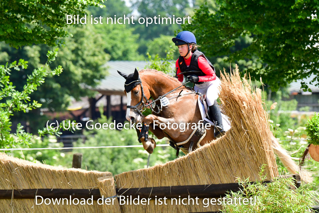 Goldene Schärpe Ponys in Löningen  4+5.6.22 | 04062022 - Gelände  2 Abt _086 