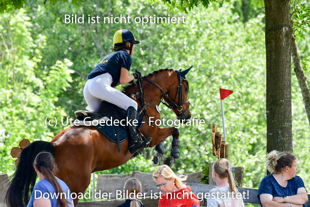 Goldene Schärpe Ponys in Löningen  4+5.6.22 | 04062022 - Gelände  2 Abt _095 