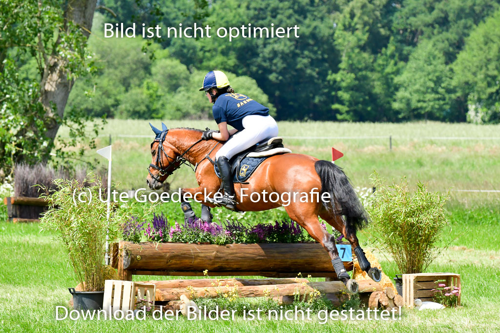 Goldene Schärpe Ponys in Löningen  4+5.6.22 | 04062022 - Gelände  2 Abt _097 