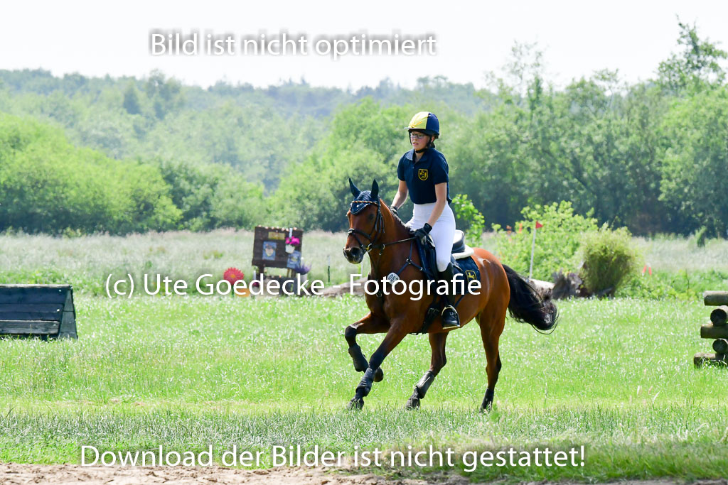 Goldene Schärpe Ponys in Löningen  4+5.6.22 | 04062022 - Gelände  2 Abt _099 
