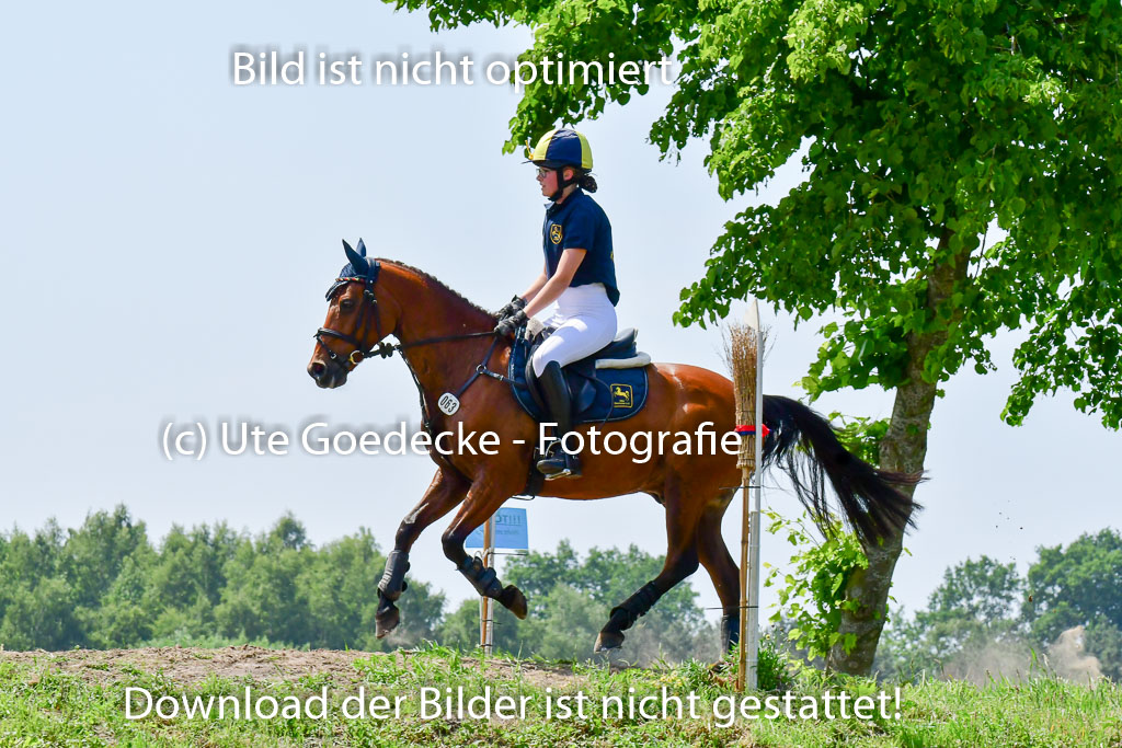 Goldene Schärpe Ponys in Löningen  4+5.6.22 | 04062022 - Gelände  2 Abt _106 