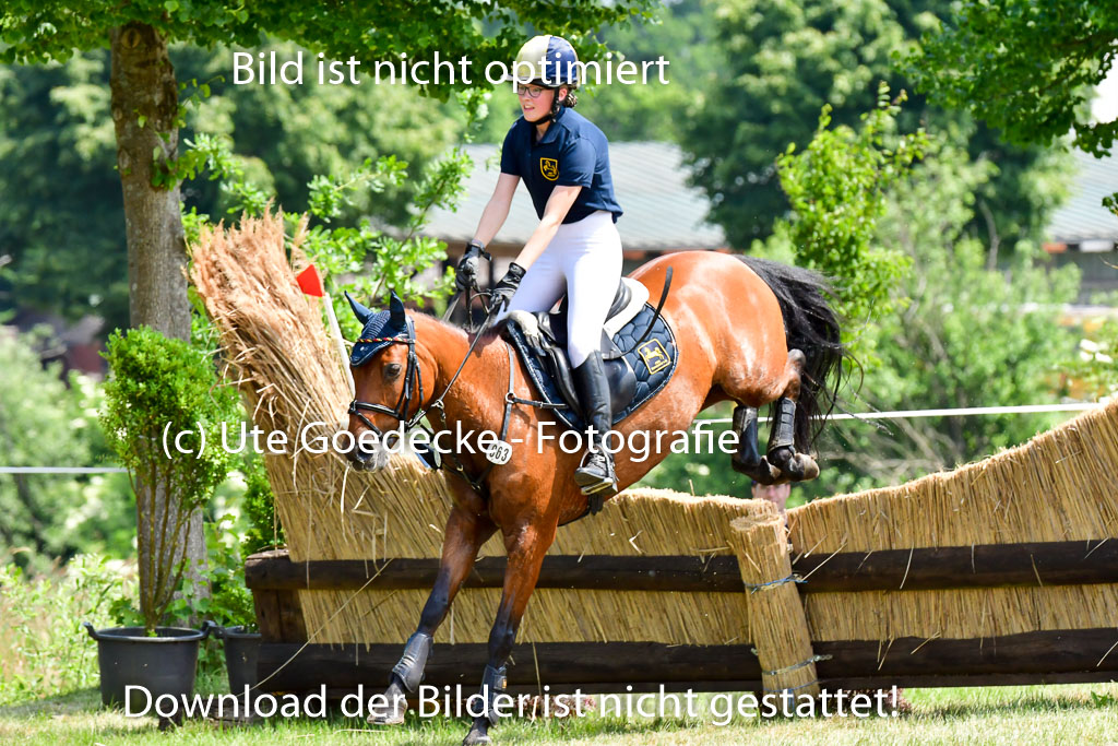 Goldene Schärpe Ponys in Löningen  4+5.6.22 | 04062022 - Gelände  2 Abt _109 