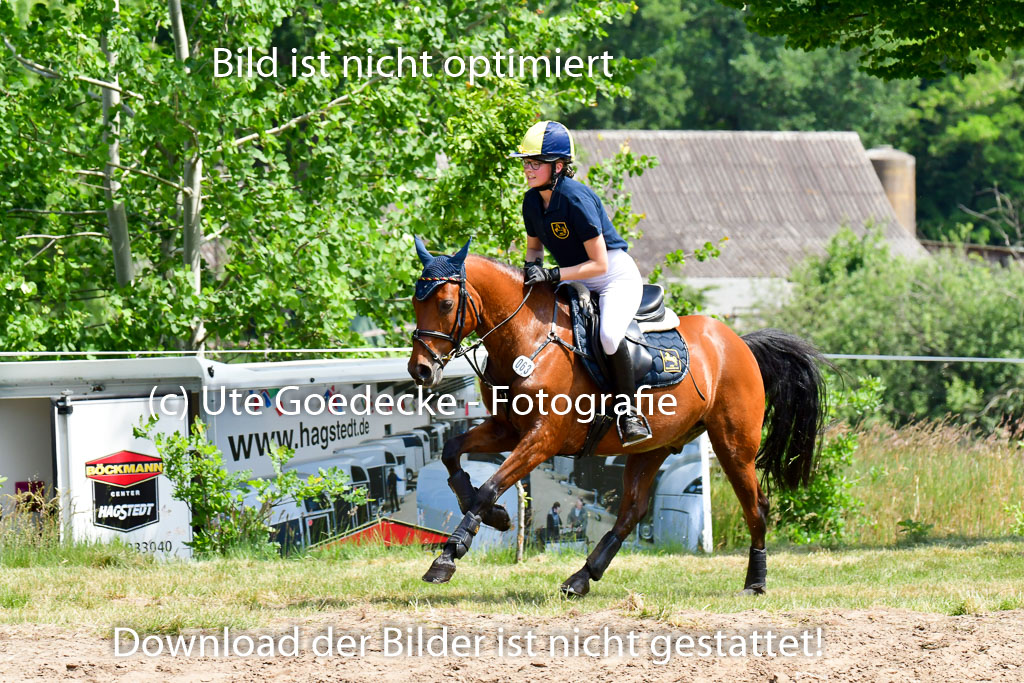 Goldene Schärpe Ponys in Löningen  4+5.6.22 | 04062022 - Gelände  2 Abt _110 