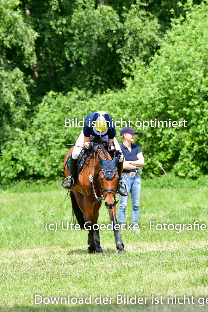 Goldene Schärpe Ponys in Löningen  4+5.6.22 | 04062022 - Gelände  2 Abt _111 