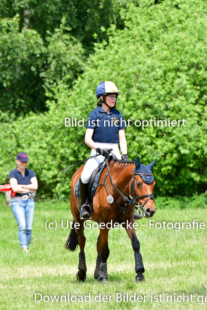 Goldene Schärpe Ponys in Löningen  4+5.6.22 | 04062022 - Gelände  2 Abt _112 